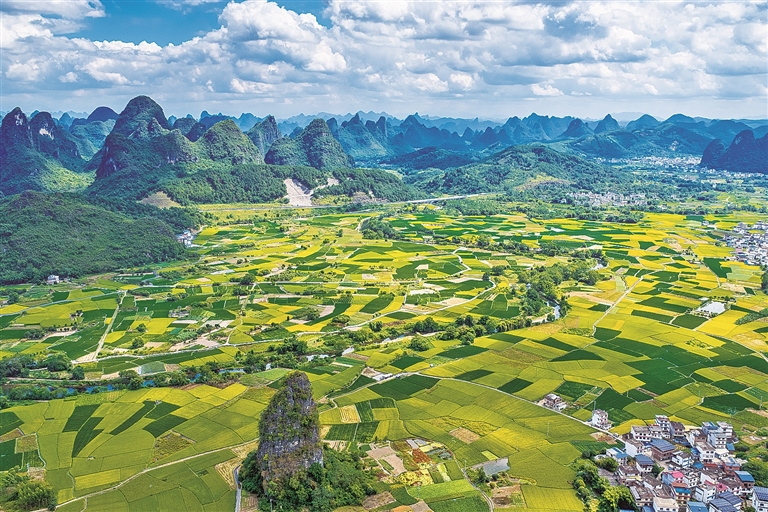 丰收图景
