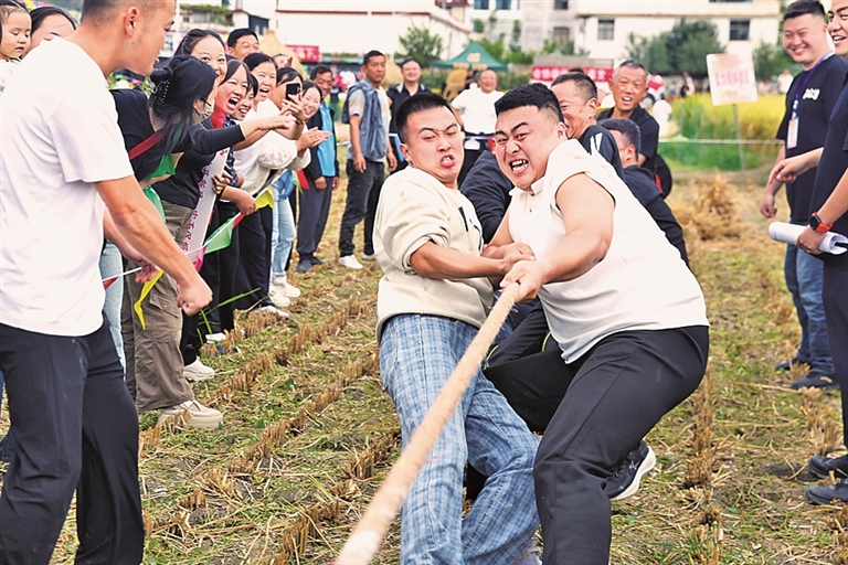 陇南农家庆丰收 陇南农家庆丰收