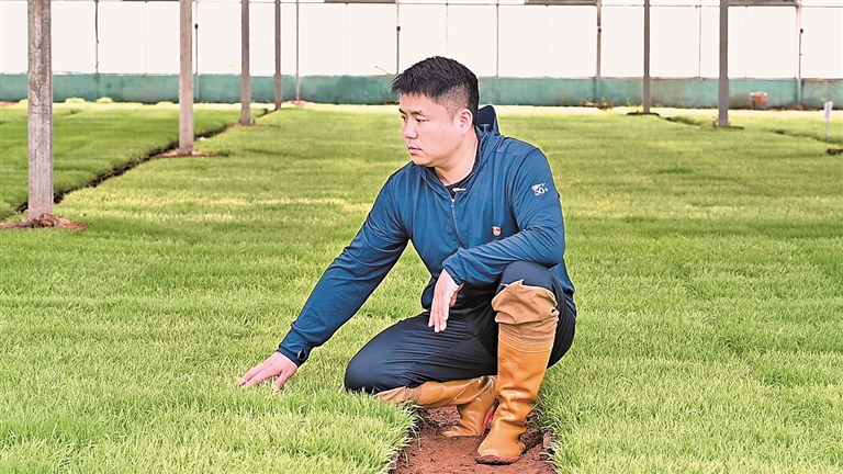 把田野当学校,把作物当牵挂——看青年农业科技工作者如何“将论文写在大地上” 把田野当学校,把作物当牵挂——看青年农业科技工作者如何“将论文写在大地上”