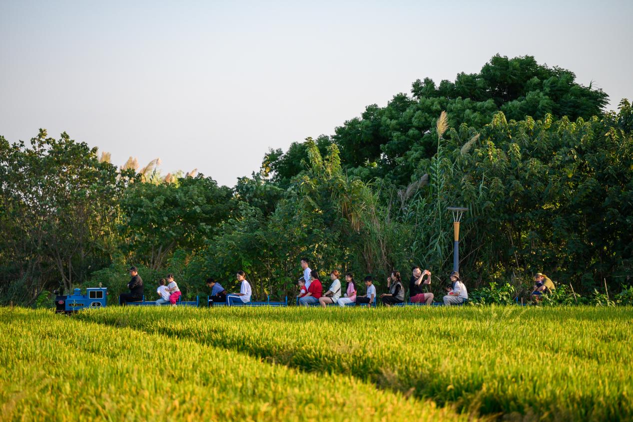 交旅融合在江苏 | 漫游昆山美丽农路