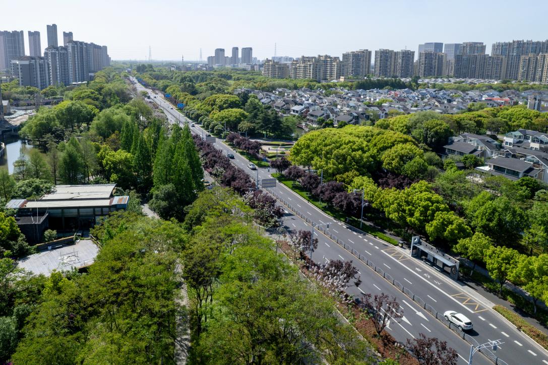 交旅融合在江苏 | 漫游昆山美丽农路