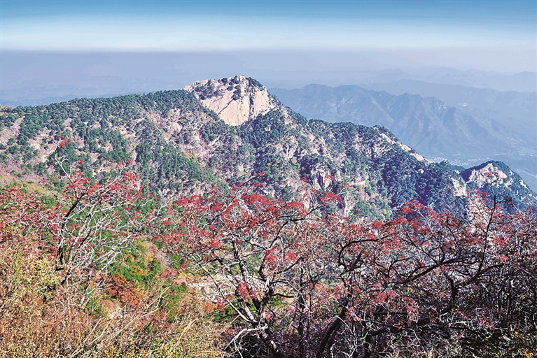 秋日泰山