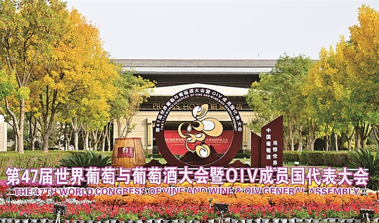贺兰山下,这抹“紫色”惊艳了世界——第47届世界葡萄与葡萄酒大会观察 贺兰山下,这抹“紫色”惊艳了世界——第47届世界葡萄与葡萄酒大会观察