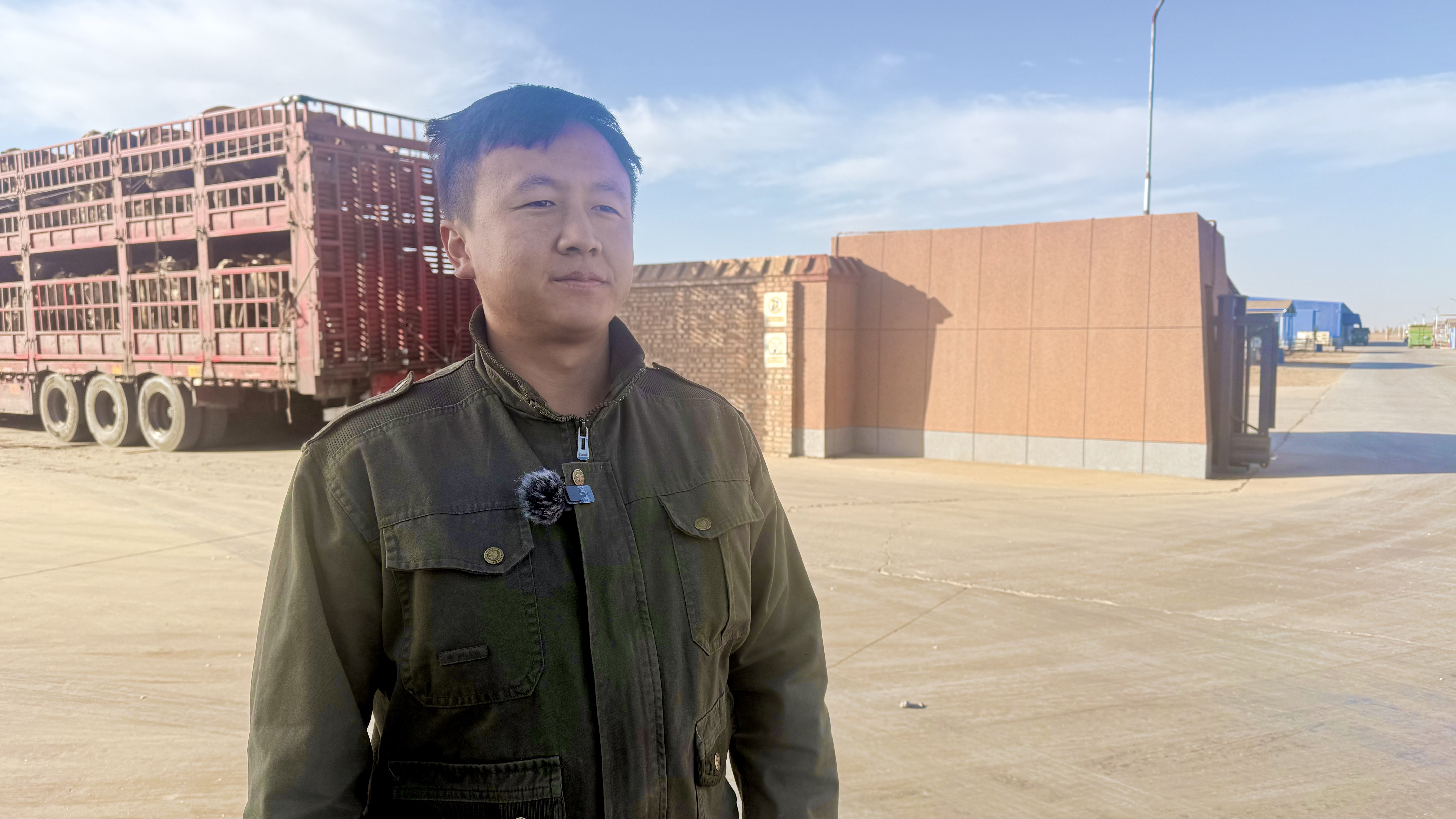 出栏外运忙！内蒙古鄂托克旗优质肉牛南下闯市场