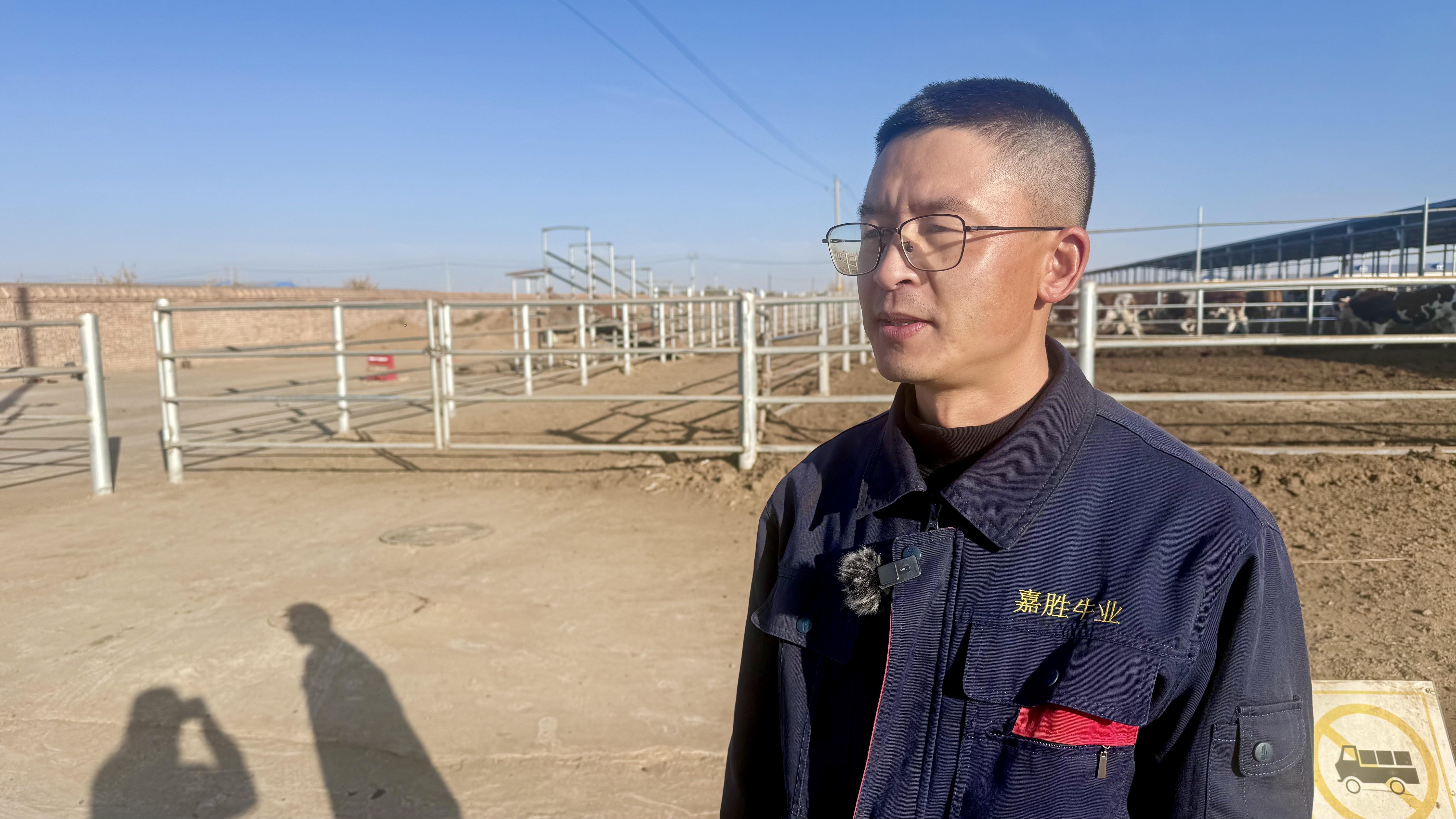 出栏外运忙！内蒙古鄂托克旗优质肉牛南下闯市场