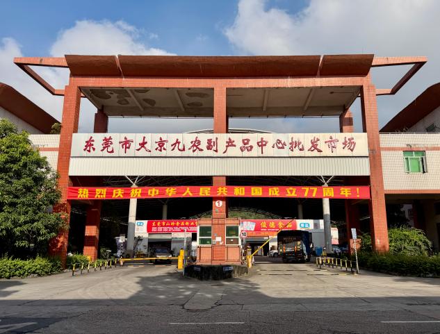 筑枢纽通粮脉 担使命护民安——东莞常平一体化粮油农副市场的湾区粮安实践