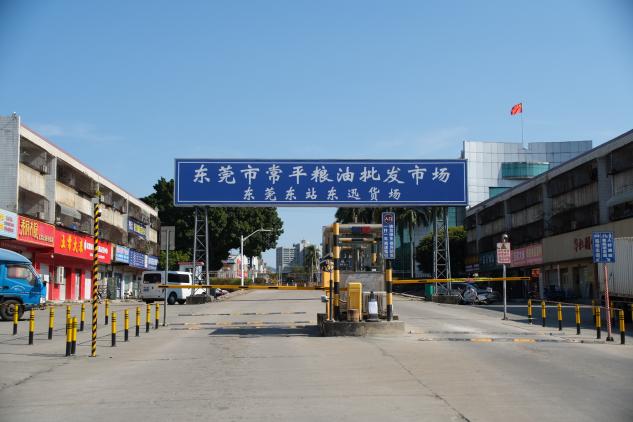 筑枢纽通粮脉 担使命护民安——东莞常平一体化粮油农副市场的湾区粮安实践