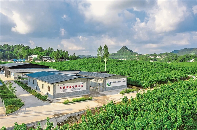 同心建山乡 携手奔共富——四川对欠发达县域开展托底性帮扶见实效 同心建山乡 携手奔共富——四川对欠发达县域开展托底性帮扶见实效
