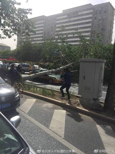 北京遭遇大风沙尘 树木倒伏车辆被砸