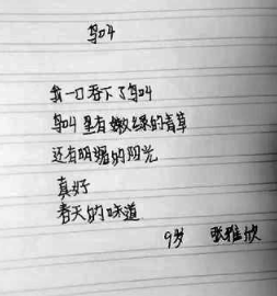 大山里的小诗人：湖南省怀化市会同县坪村镇粟裕希望小学学生