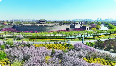 【大美中国】古城春色