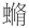 瞧！大学校园里，文博奇珍熠熠闪耀