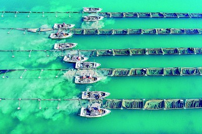 海水更清、海滩更净、湿地更没……