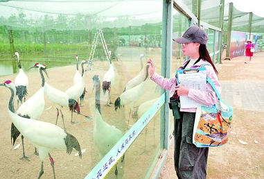 海水更清、海滩更净、湿地更没……