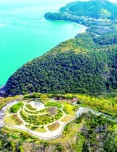 海水更清、海滩更净、湿地更没……