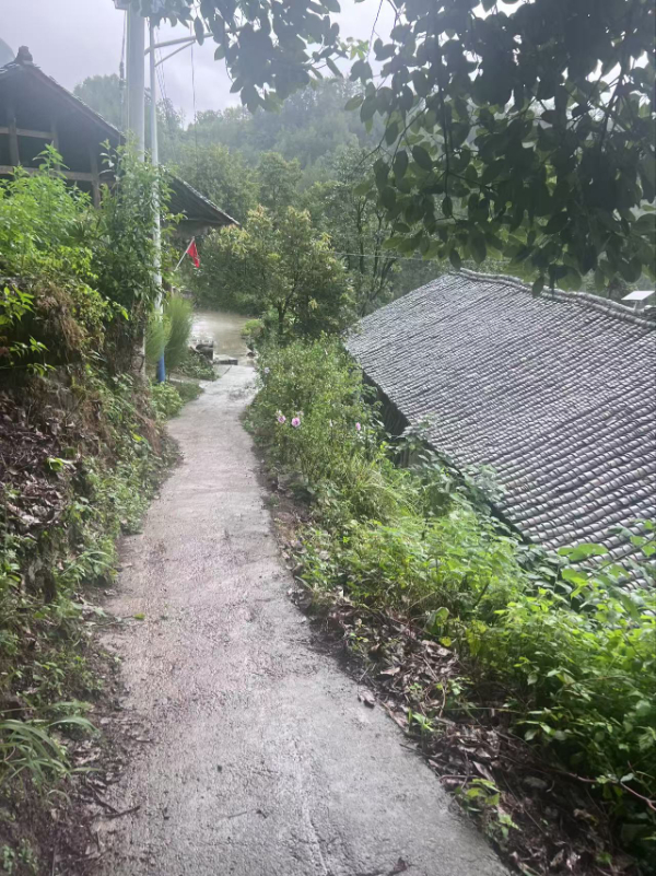山路 心桥 通途：一条教育振兴路的三重回响