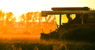 共赏同一轮明月 诉说同一份思念