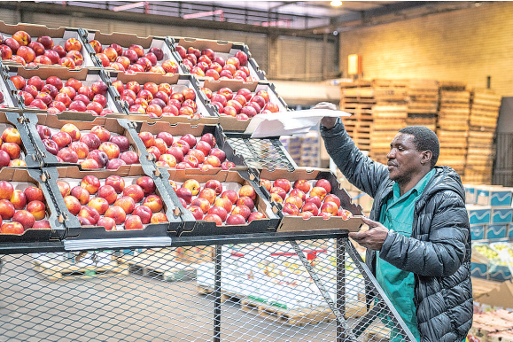 南非果商积极备货向中国出口优质核果