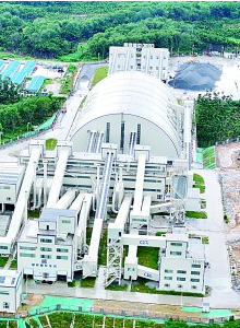 让实体经济的“参天大树”更加枝繁叶茂