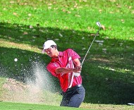 大球小球好戏连台 老将新秀泳池对决 大球小球好戏连台 老将新秀泳池对决