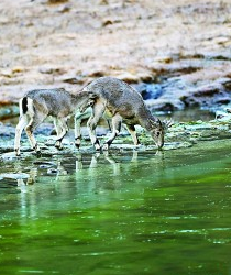 生物圈保护区——打造人与自然和谐共生样板 生物圈保护区——打造人与自然和谐共生样板