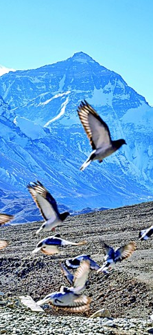 生物圈保护区——打造人与自然和谐共生样板 生物圈保护区——打造人与自然和谐共生样板