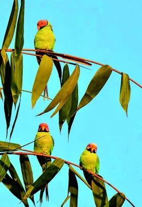 与自然之美相逢——走近记录自然的青年摄影师 与自然之美相逢——走近记录自然的青年摄影师