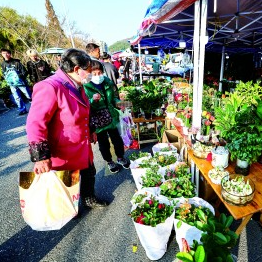 走，赶一场热闹欢腾的大集