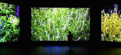 赴艺术之约 绘“共生”图景