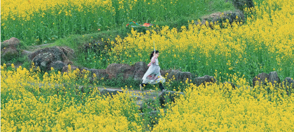 春光正好，文旅消费暖意浓