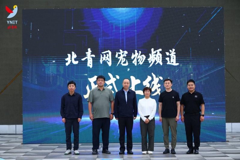 都市主流媒体入局“它经济” 北青网宠物频道正式上线