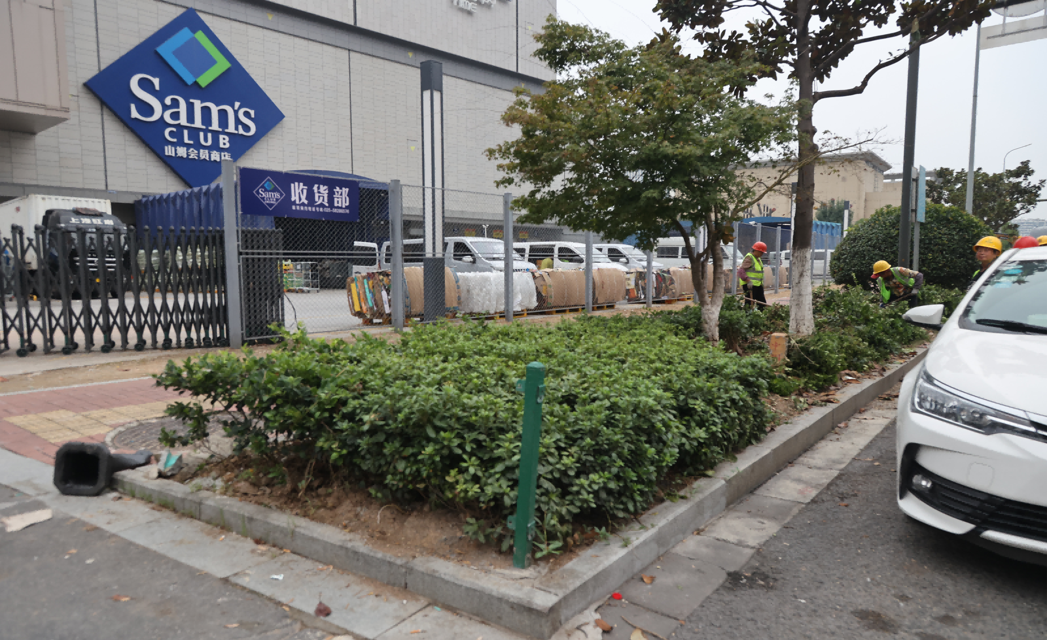 市政园林联动“一体化”整治 南京江北新区顶山街道望江路道路与景观提质升级