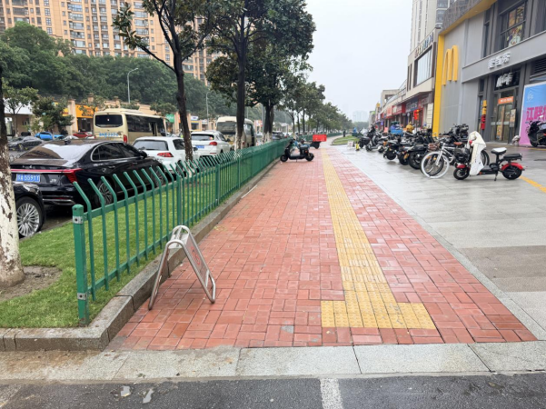 市政园林联动“一体化”整治 南京江北新区顶山街道望江路道路与景观提质升级