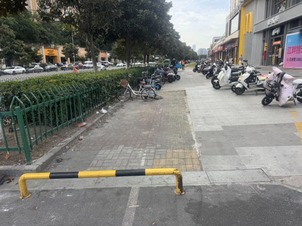 市政园林联动“一体化”整治 南京江北新区顶山街道望江路道路与景观提质升级