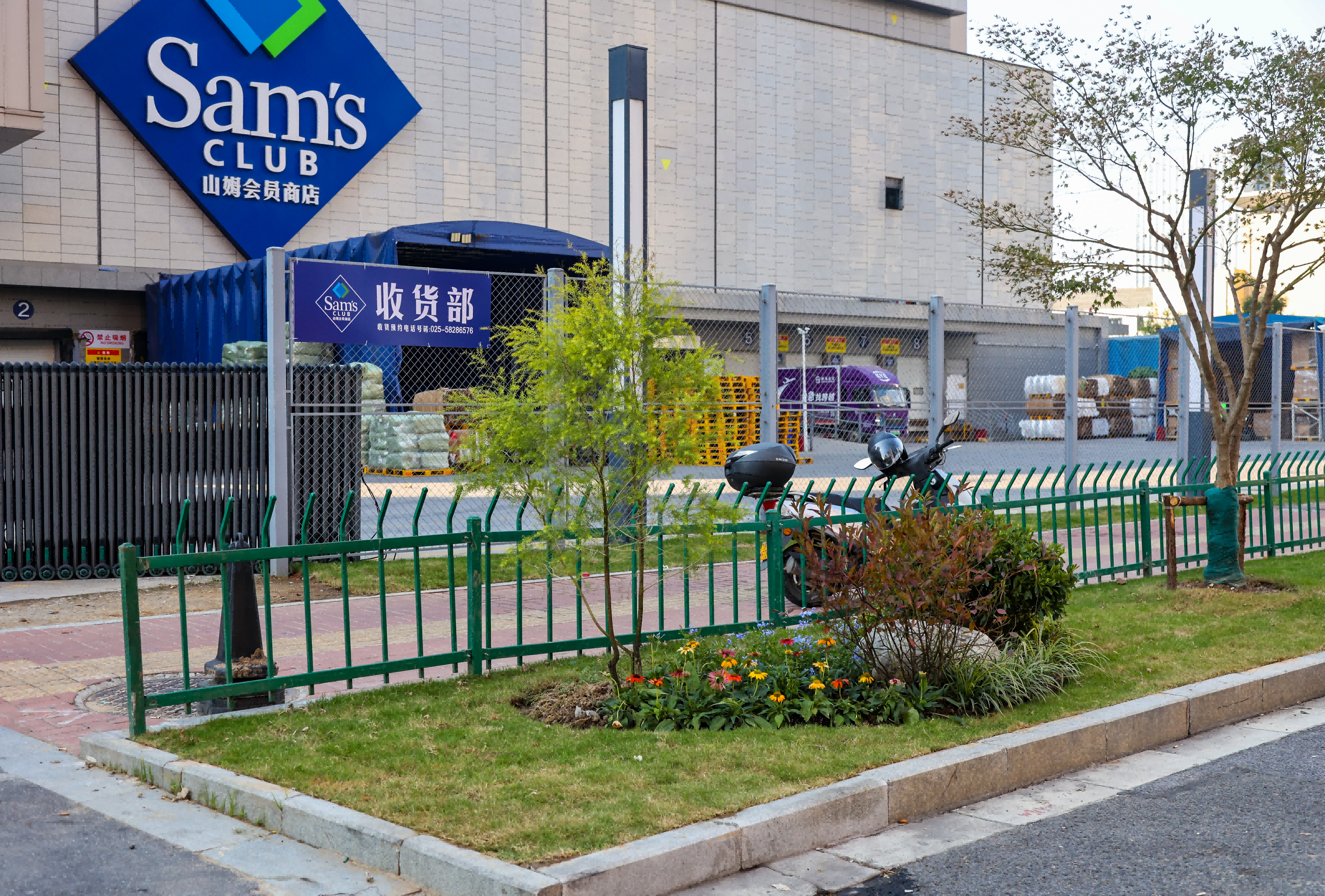 市政园林联动“一体化”整治 南京江北新区顶山街道望江路道路与景观提质升级